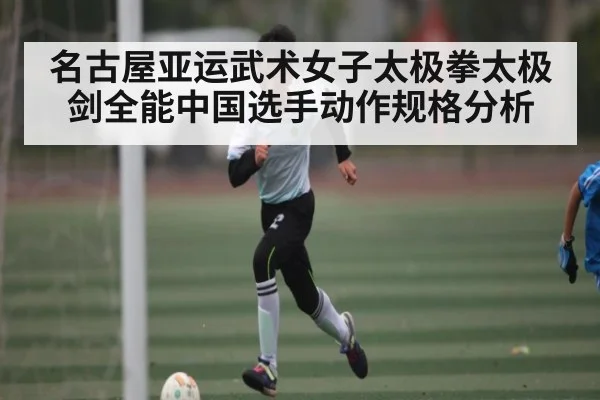 名古屋亚运武术女子太极拳太极剑全能中国选手动作规格分析